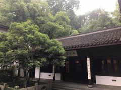 -龙井村
