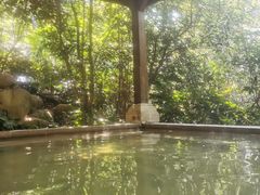 -天目湖涵田半山温泉