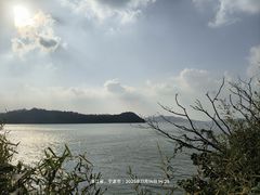 -东钱湖旅游度假区