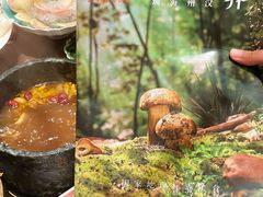 -蘑界·野生菌火锅(深业上城店)