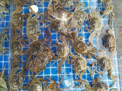 -马王堆海鲜水产市场