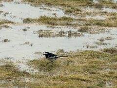 -抚仙湖万达文华酒店