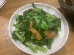 小白菜溜豆腐-金豆角砂锅焖面(安贞店)