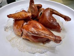 红烧乳鸽-九妙坊(牡丹园店)