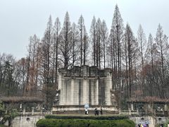 -音乐台