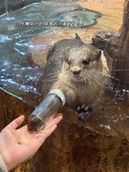 -Zoolung Zoolung动物主题公园(海信广场店)