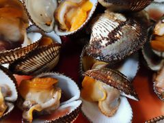 -宾朋美食海鲜餐厅·特色美食专访(兴海路店)