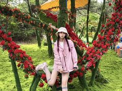 -王莽岭风景区