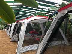 -第五季龙水凤港生态露营农场