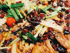 -老板恋上鱼(恒隆广场店)