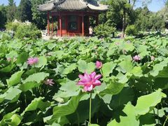 -莲池书院博物馆