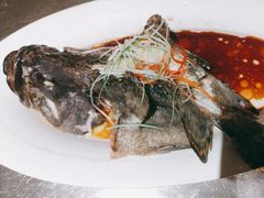 清蒸活龙胆鱼-国惠大酒楼(仓山万达店)