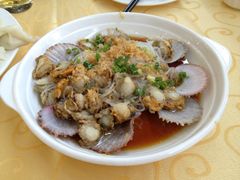 扇贝-海岛渔村大酒店(云霄路店)