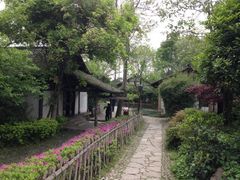 iphone_upload_pic-烟水渔庄餐厅(西溪湿地店)