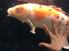 -弘安丽水温泉酒店