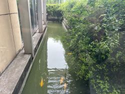 -安琪朵朵独栋花园月子中心