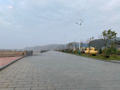 -大鹿岛