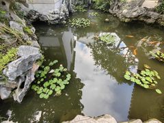 -苏州冶园园林民宿(太湖西山风景区店)