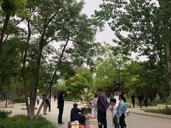-杨柳青庄园