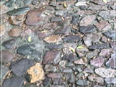 -国生茶庄·地道农家菜团建活动