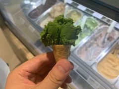 -鹤茶野所(上海首店)