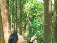 -火炉山森林公园
