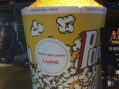 -新影联·华谊兄弟影院(望京店)