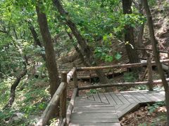 -北京上方山国家森林公园