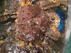 -新海渔港·胶东海鲜家常菜·家宴(奥体中心店)