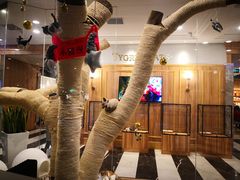 -袖虎·猫馆(体育西路店)