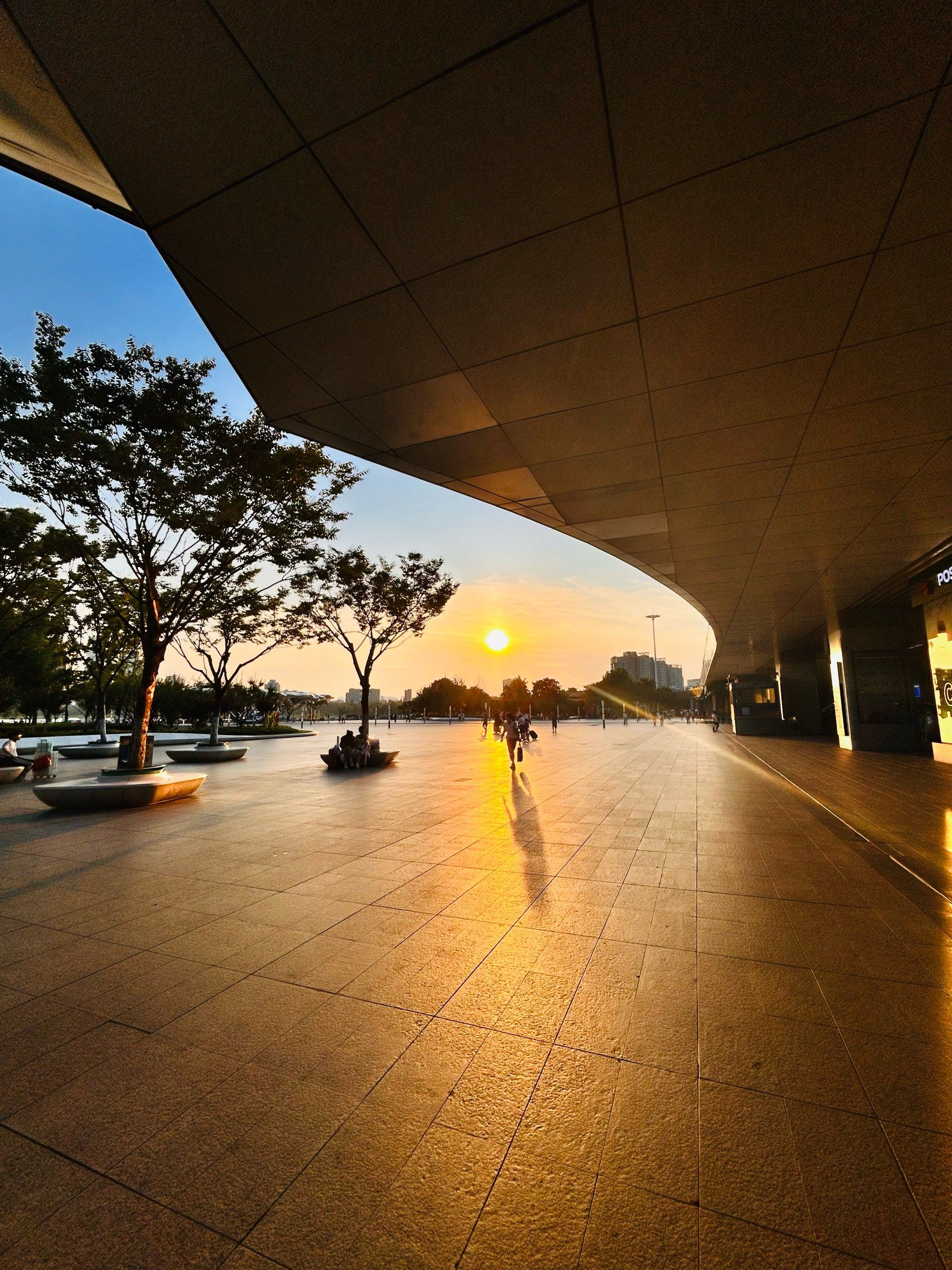 南京站夏末秋初限定景色