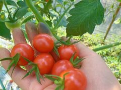 -会稽山峡洞漂流-上青古道