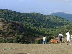 -大姆山草场