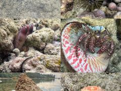 -普吉岛凯悦酒店