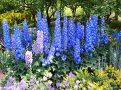 -北京雁栖湖国际会展中心