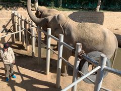 -西霞口神雕山野生动物世界