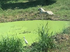 -上海野生动物园
