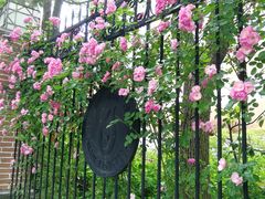 -上海市控江中学