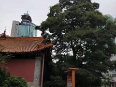 -真庆观