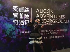 -爱丽丝冒险奇遇记
