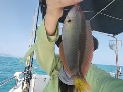 -小猫钓鱼海钓俱乐部(椰梦长廊店)