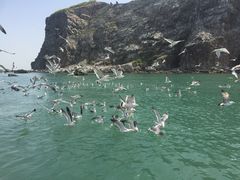 -长岛渔家乐仙居阁