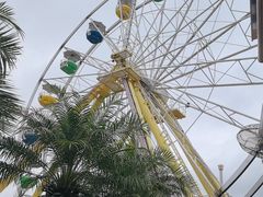 -香港海洋公园