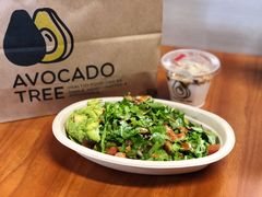 -油梨树AVOCADO TREE(嘉里中心店)