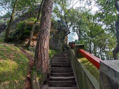 -缙云山景区