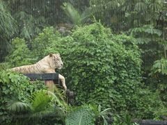 -广州长隆野生动物世界