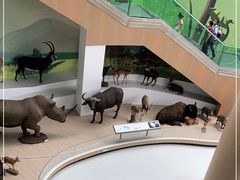 -陕西自然博物馆