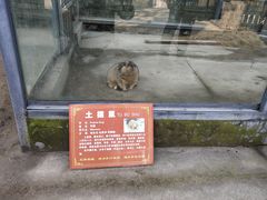 -水绘园