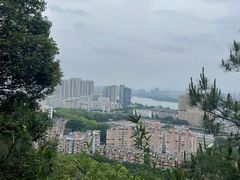 -福道
