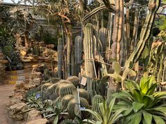 -国家植物园南园